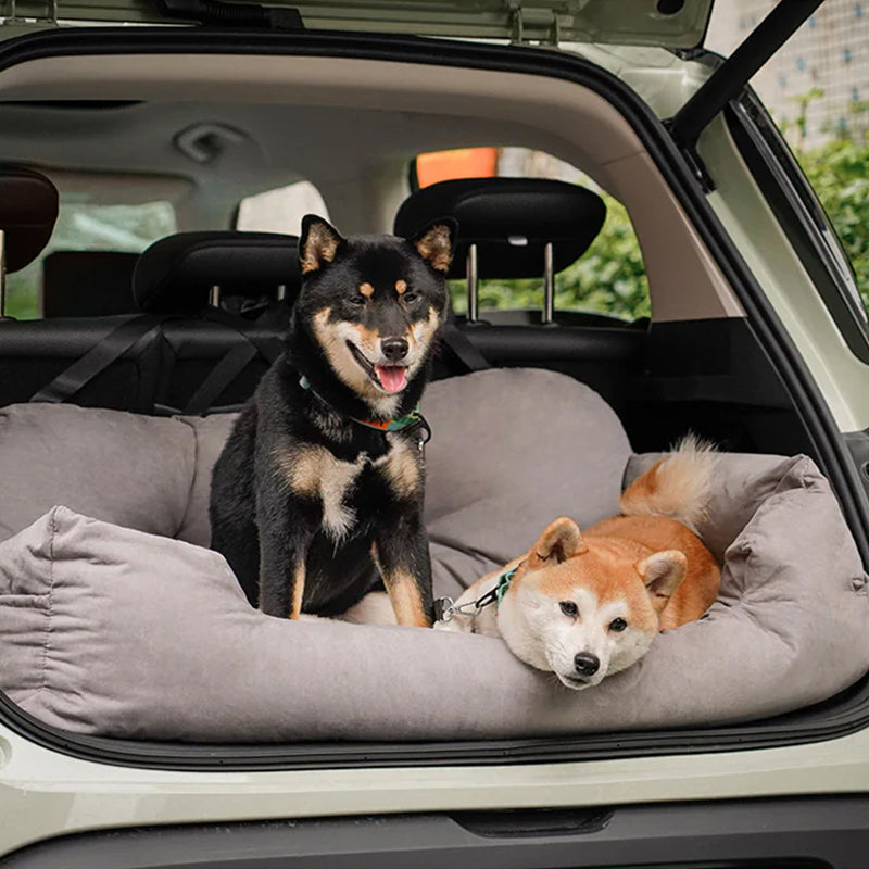 Reise Sofa For Hund — Komfort Og Sikkerhet I Bil