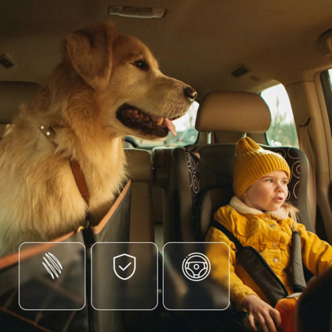 כיסוי מושב רכב לכלב — נוחות וביטחון ביום-יום