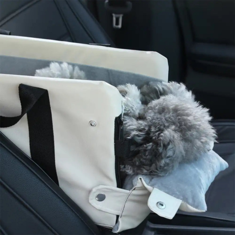 Car Basket for Small Dog — Safety and Comfort in the Car