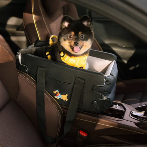 Cesto Auto Per Piccolo Cane — Sicurezza E Comfort In Auto 