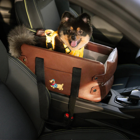 Cesto Auto Per Piccolo Cane — Sicurezza E Comfort In Auto 