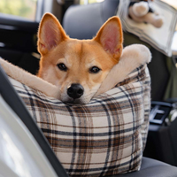 Banquette De Voyage Pour Chien – Confortable Et Facile À Installer