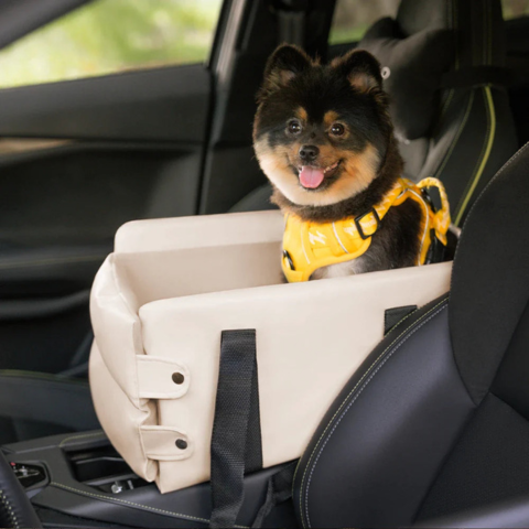 Cesto Auto Per Piccolo Cane — Sicurezza E Comfort In Auto 