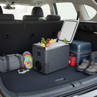 Mini Kühlschrank & Auto-Wärmer — 2 in 1 Praktisch 