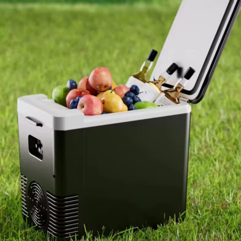 Mini Kylskåp & Bilmatvärmare — 2 I 1 Praktisk 