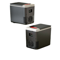 Mini Koelkast Voor Auto – Compact en Praktisch 